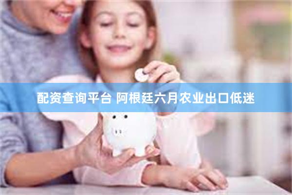 配资查询平台 阿根廷六月农业出口低迷