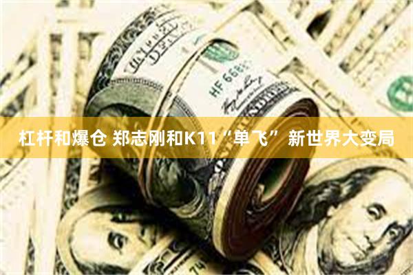 杠杆和爆仓 郑志刚和K11“单飞” 新世界大变局