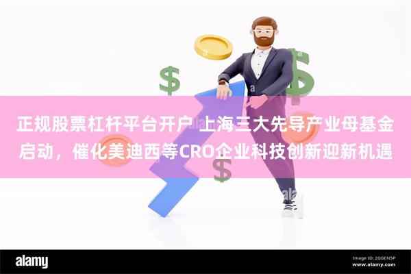 正规股票杠杆平台开户 上海三大先导产业母基金启动，催化美迪西等CRO企业科技创新迎新机遇