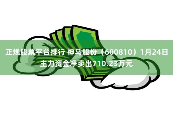 正规股票平台排行 神马股份（600810）1月24日主力资金净卖出710.23万元