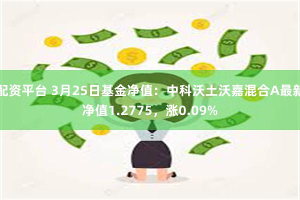 配资平台 3月25日基金净值：中科沃土沃嘉混合A最新净值1.2775，涨0.09%
