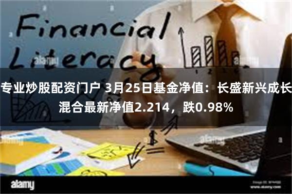 专业炒股配资门户 3月25日基金净值：长盛新兴成长混合最新净值2.214，跌0.98%