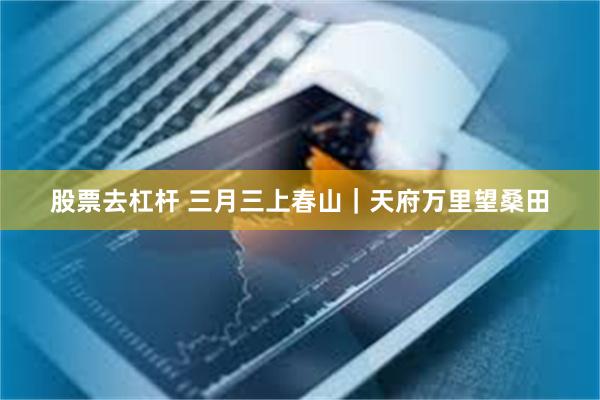 股票去杠杆 三月三上春山｜天府万里望桑田