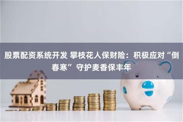 股票配资系统开发 攀枝花人保财险：积极应对“倒春寒” 守护麦香保丰年
