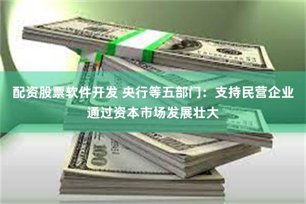 配资股票软件开发 央行等五部门：支持民营企业通过资本市场发展壮大