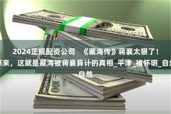 2024正规配资公司   《藏海传》蒋襄太狠了！原来，这就是藏海被蒋襄算计的真相_平津_褚怀明_自然