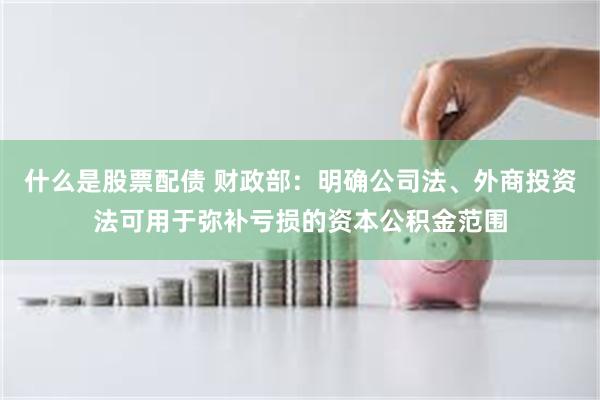 什么是股票配债 财政部：明确公司法、外商投资法可用于弥补亏损的资本公积金范围