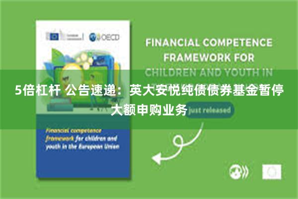 5倍杠杆 公告速递：英大安悦纯债债券基金暂停大额申购业务