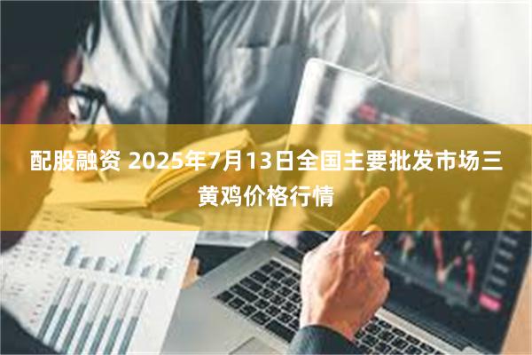 配股融资 2025年7月13日全国主要批发市场三黄鸡价格行情