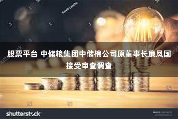 股票平台 中储粮集团中储棉公司原董事长廉凤国接受审查调查