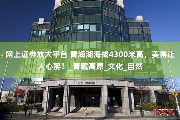 网上证劵放大平台 青海湖海拔4300米高，美得让人心醉！_青藏高原_文化_自然