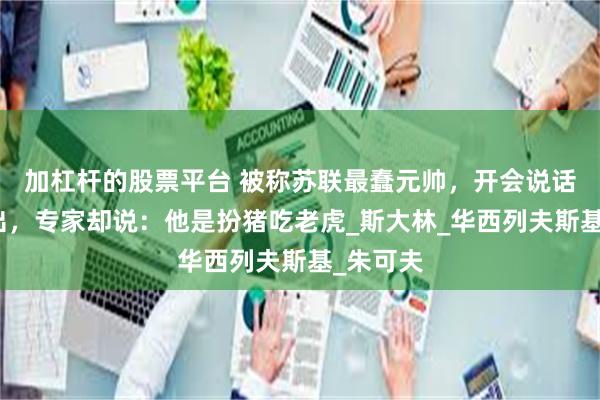 加杠杆的股票平台 被称苏联最蠢元帅，开会说话漏洞百出，专家却说：他是扮猪吃老虎_斯大林_华西列夫斯基_朱可夫