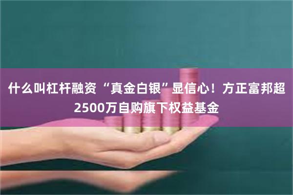 什么叫杠杆融资 “真金白银”显信心！方正富邦超2500万自购旗下权益基金