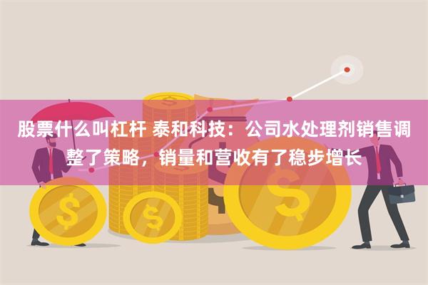 股票什么叫杠杆 泰和科技：公司水处理剂销售调整了策略，销量和营收有了稳步增长